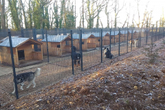 Pension canine avanton
