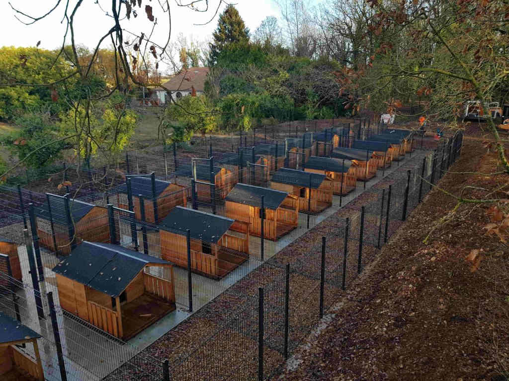 pension canine avanton proche futuroscope